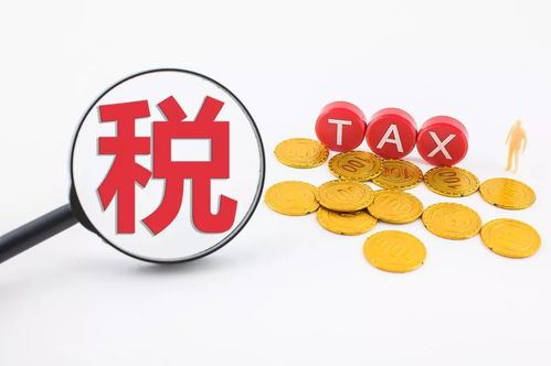 软件企业销售软件的增值税政策解析