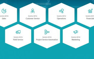 微软发布Dynamics 365销售计划与软件开发路径图，引领企业数字化新篇章