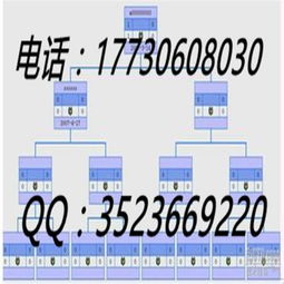 千度经典全球一条线直销软件精品 功能解析与价格指南